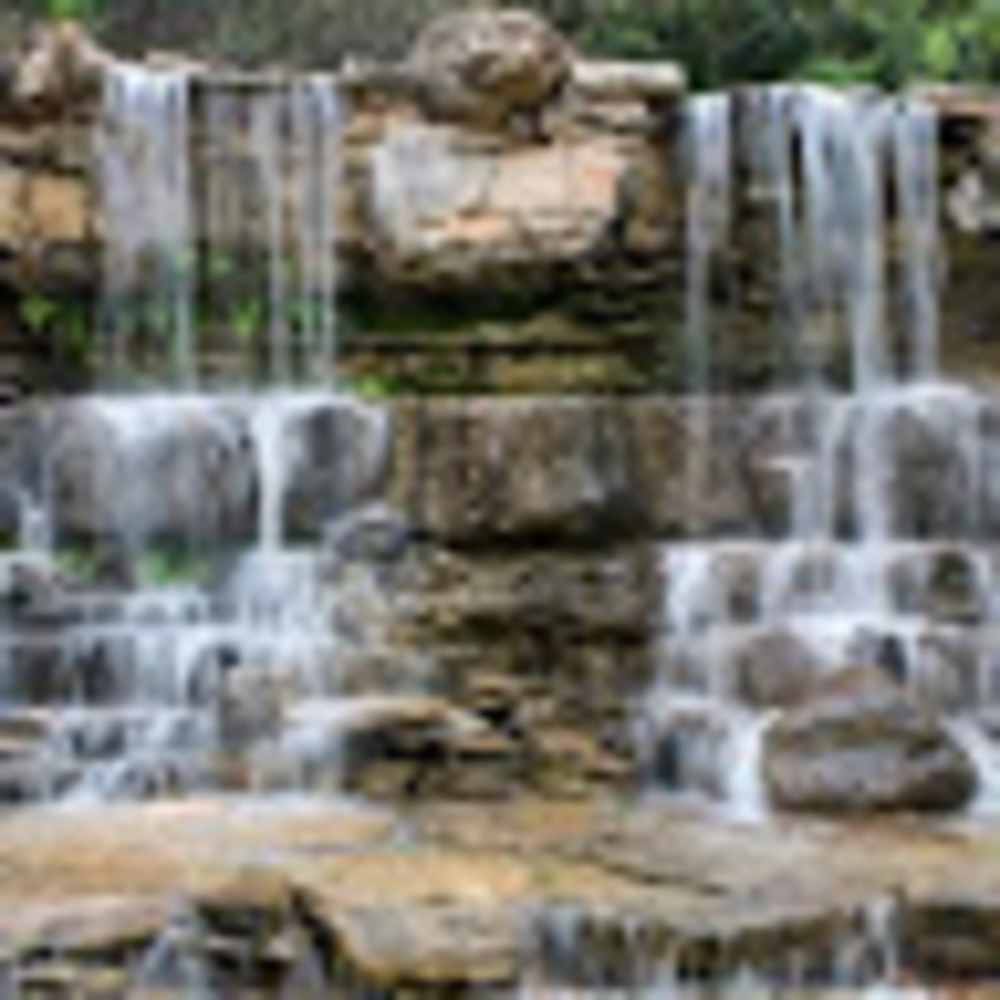 Meet your Posher, Paula